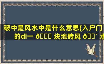 破中是风水中是什么意思(入户门的di一 🐈 
块地砖风 🐴 水)